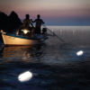 BOA-LUMINOSA-SOLARE BOA LUMINOSA SOLARE Ambientata 100x100