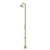 DOCCIA-INOX-LUNA-DOPPIO-TMP-ORO DOCCIA INOX LUNA DOPPIO TMP ORO 6 100x100