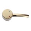 MANIGLIA-MISCELATORE-ORO MANIGLIA MISCELATORE ORO 100x100